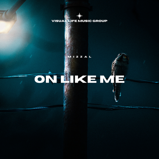 Mizzal "On Like Me"
